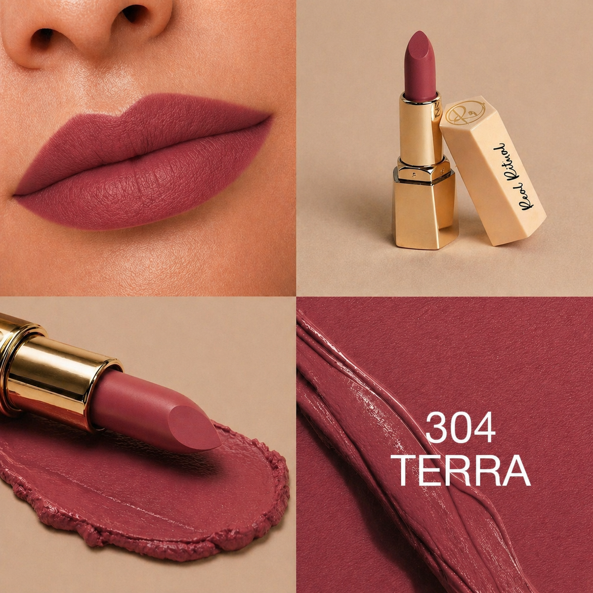 304 Terra